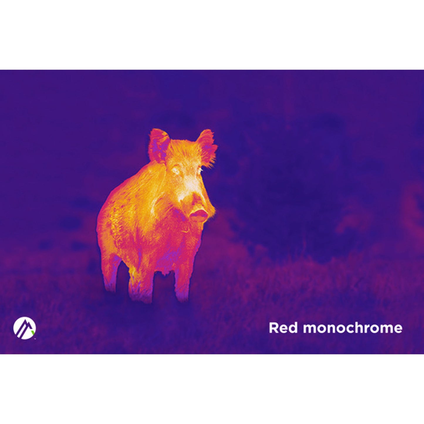 Red monochrome