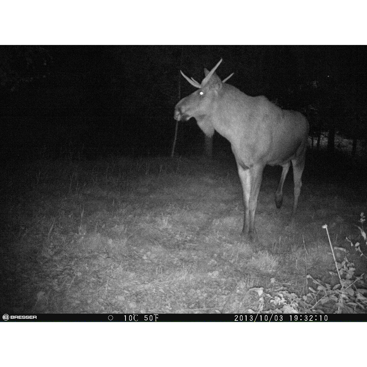 Bresser 12 Megapixel Game Camera