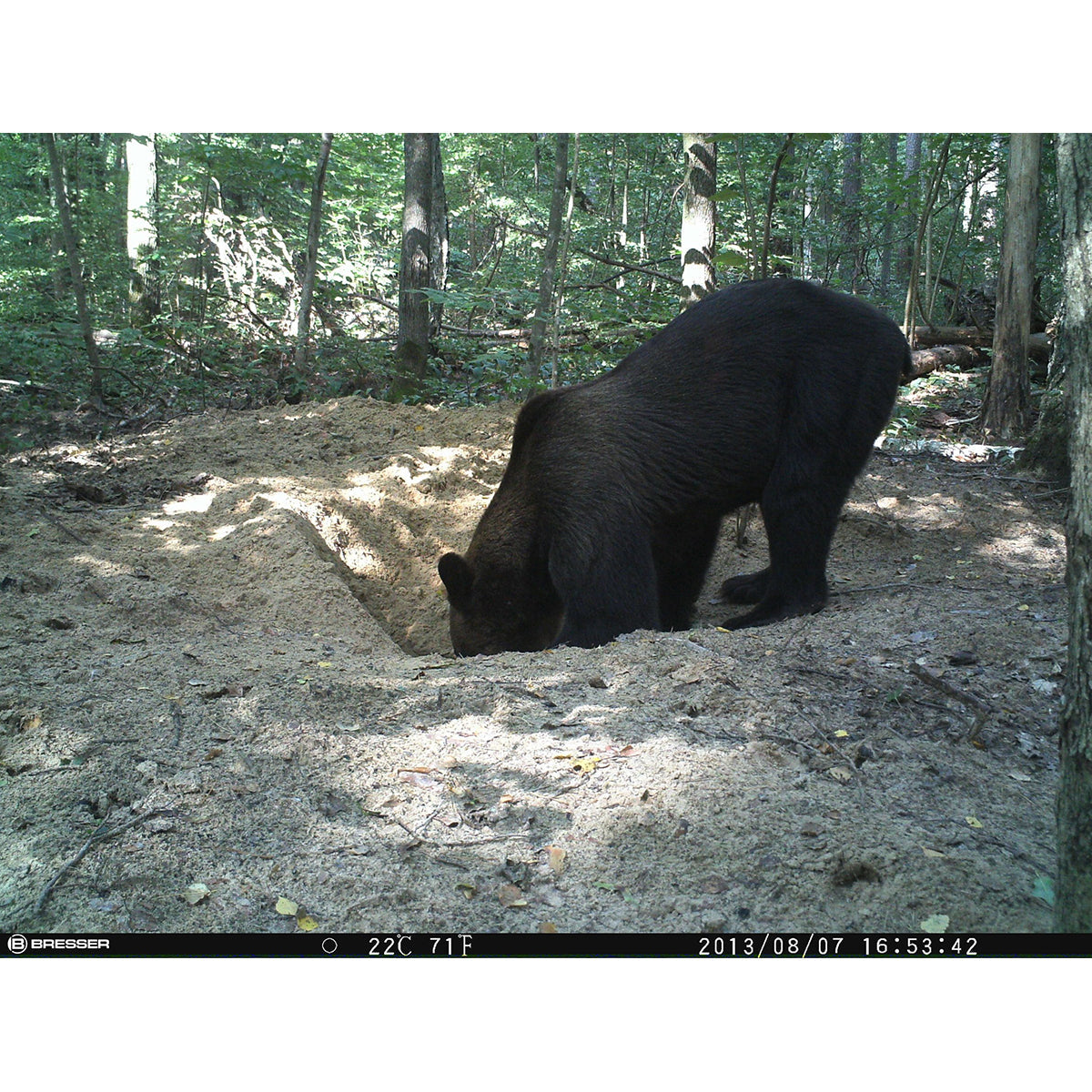 Bresser 12 Megapixel Game Camera